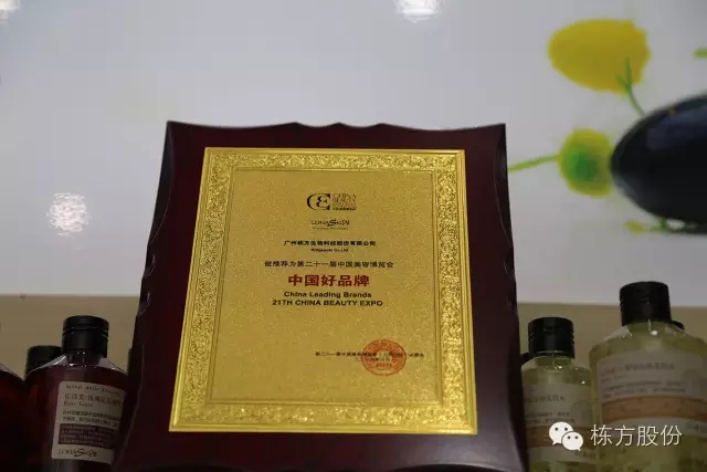 科技引領(lǐng)美麗▏棟方股份榮獲“中國好品牌獎(jiǎng)”！