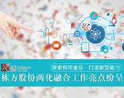 探索有效途徑，打造新型能力——棟方股份兩化融合工作亮點(diǎn)紛呈